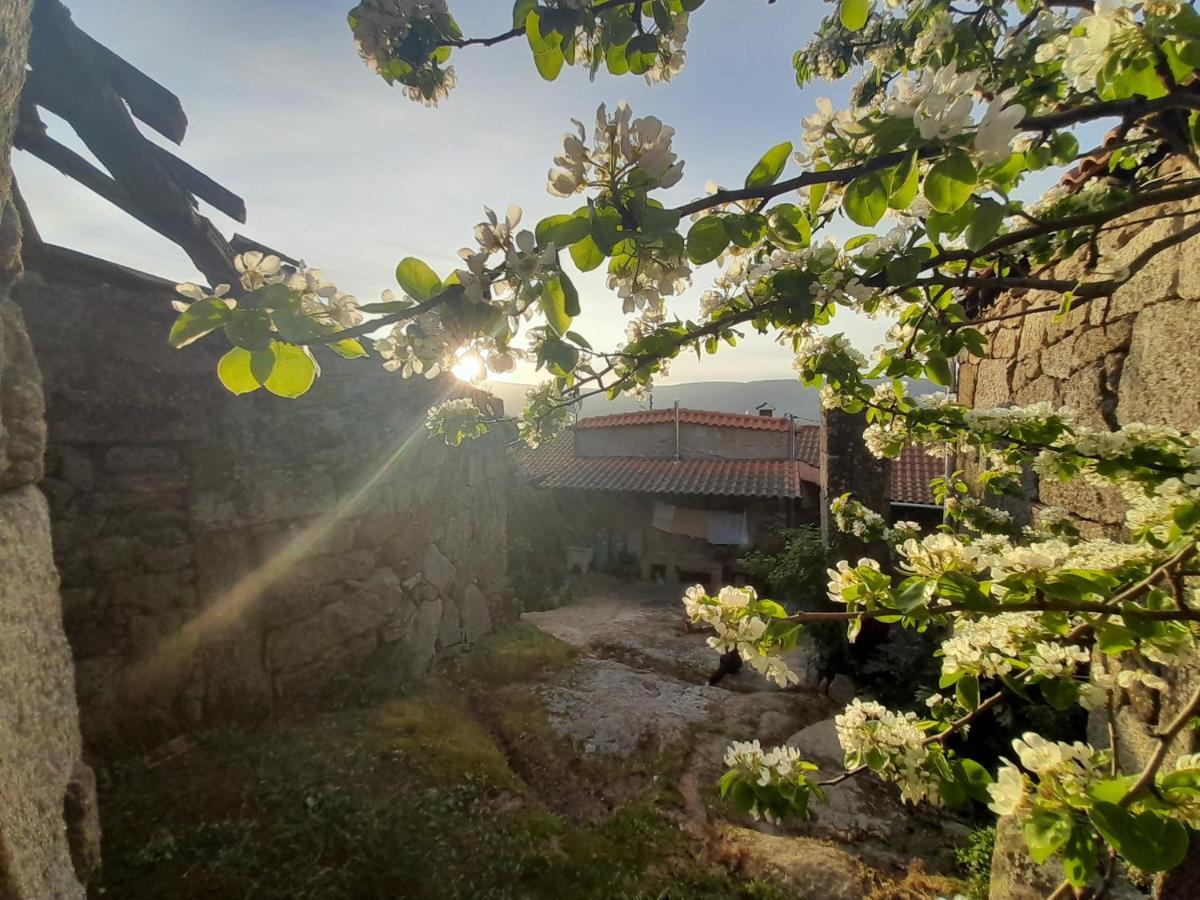 빌라 푸카 데 아기아르 Casa Padre Manuel Do Couto 빌라 외부 사진